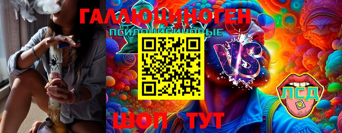 Псилоцибиновые грибы Psilocybine cubensis  Вход с VPN  Урай 
