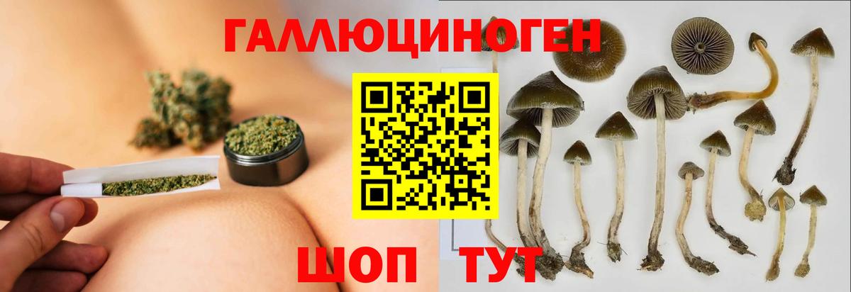 Галлюциногенные грибы мицелий Урай